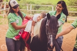 ceeg-equoterapia-sete-lagoas-1